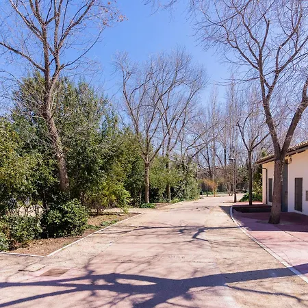 Aptuvalencia Apartman